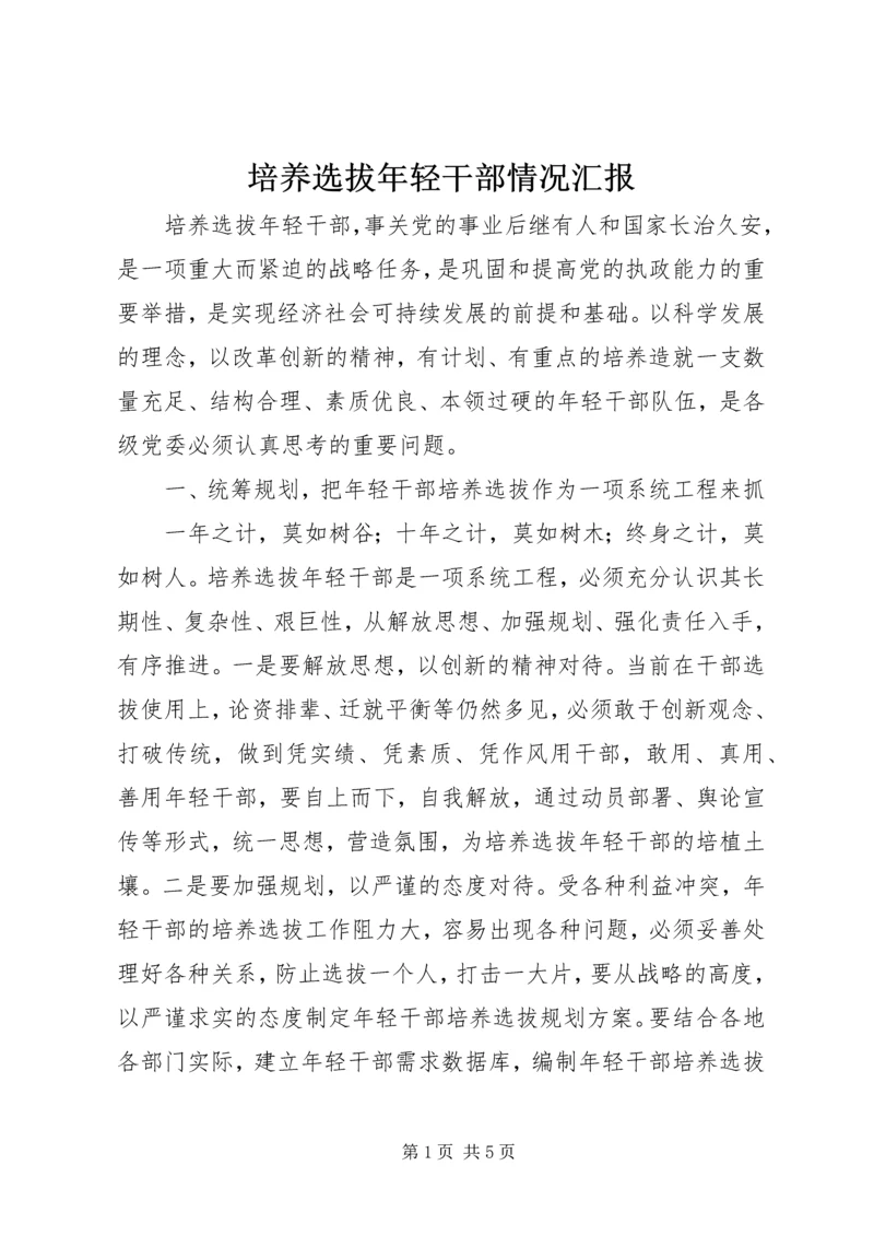 培养选拔年轻干部情况汇报 (5).docx