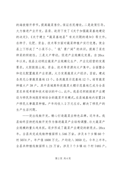 做强蔬菜产业　壮大农业经济 (3).docx