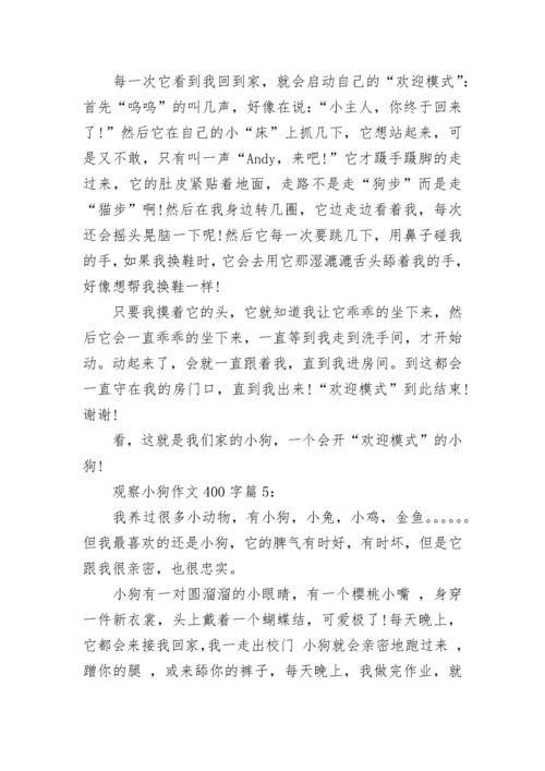 观察小狗作文400字5篇.docx