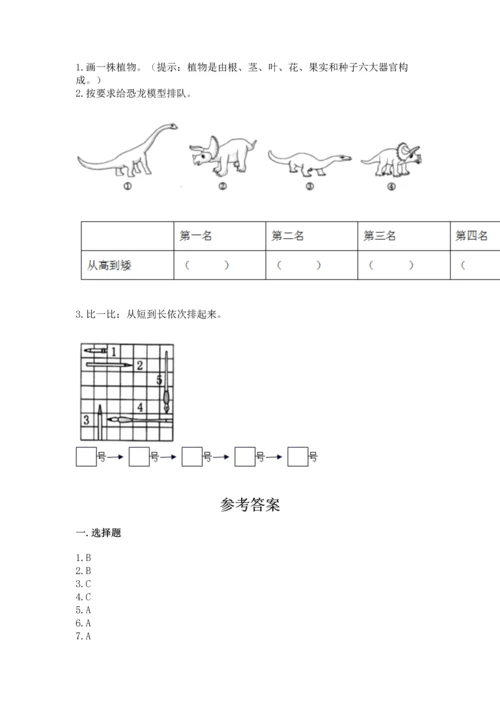 教科版科学一年级上册期末测试卷（考点精练）.docx