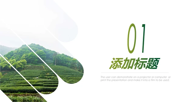 清新乡村旅游新农村建设乡村建设乡村旅游PPT模板