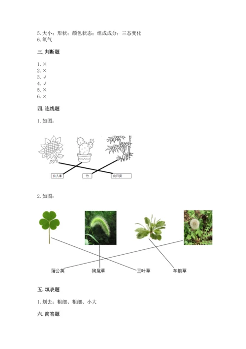 教科版科学一年级上册第一单元《植物》测试卷【名师推荐】.docx