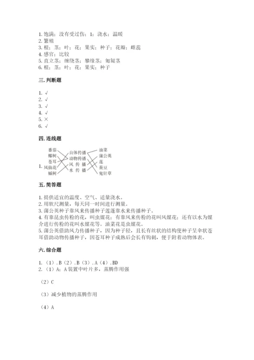科学四年级下册第一单元植物的生长变化测试卷【培优】.docx