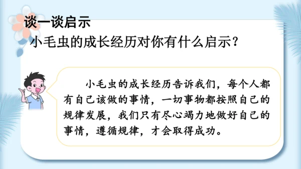 22.小毛虫（第二课时）教学课件