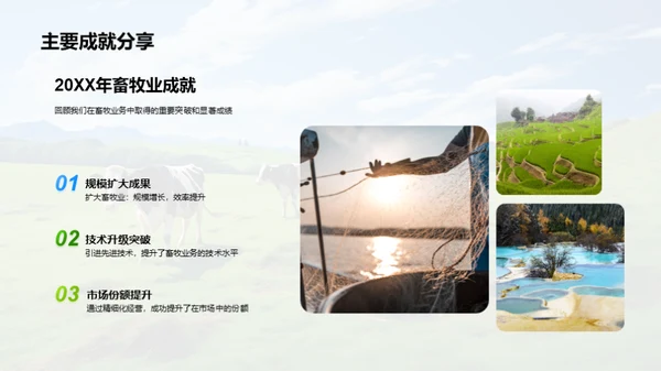 畜牧业务崭新征程