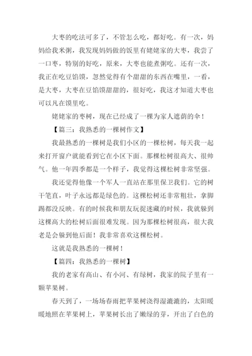 我熟悉的一棵树作文200字.docx