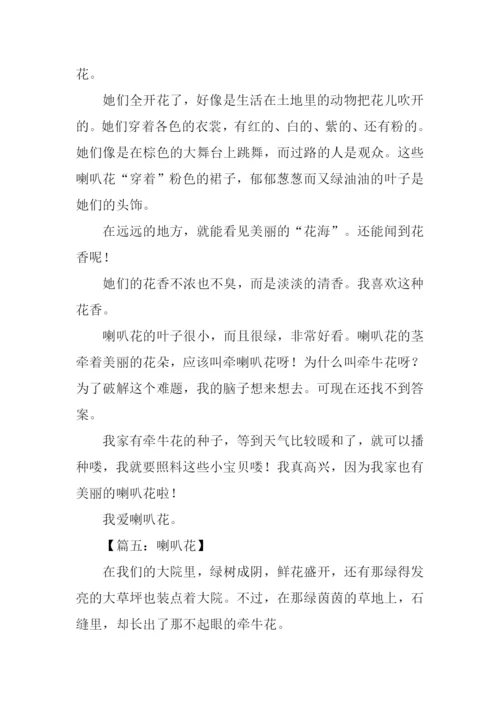 喇叭花的作文400字.docx
