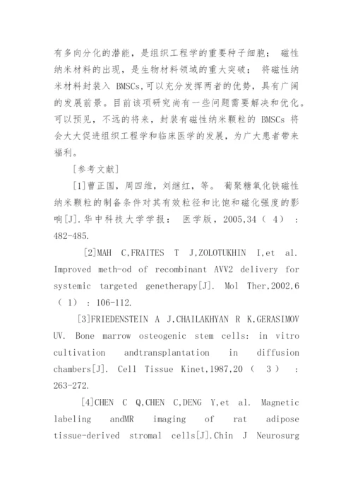 磁性纳米颗粒在BMSCs中的封装及其临床应用论文.docx