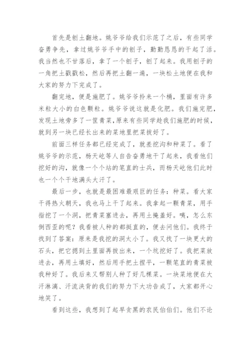 六年级一次活动的作文.docx