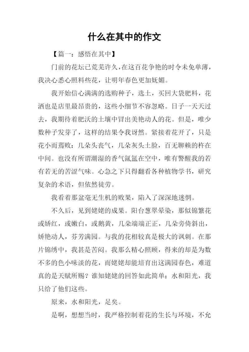 什么在其中的作文.docx