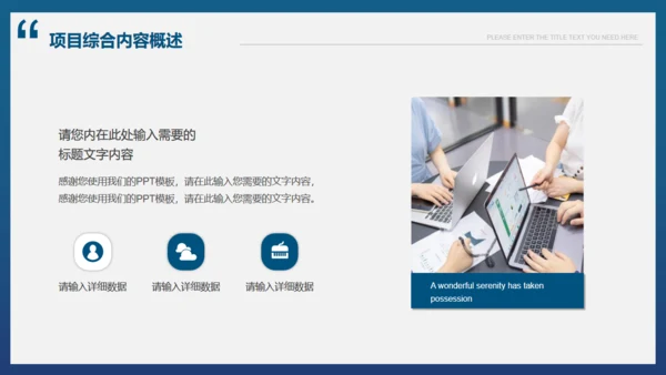 商业项目计划书模板通用PPT
