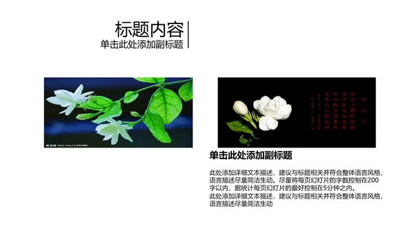 开头视频片头好一朵茉莉花ppt动态模板