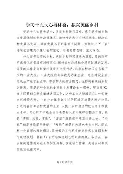 学习十九大心得体会：振兴美丽乡村.docx