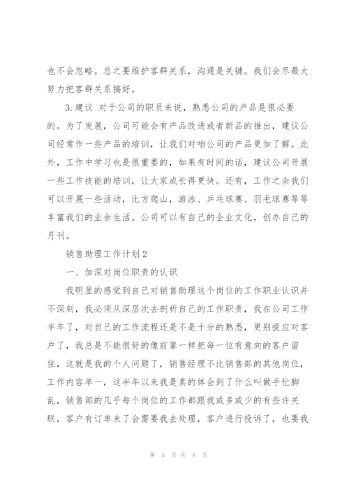 销售助理工作计划大全.docx