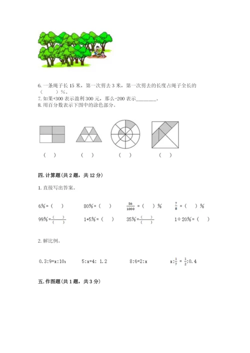 小升初六年级期末测试卷及完整答案（典优）.docx