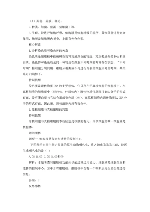 关于高中生物教案范文十篇.docx