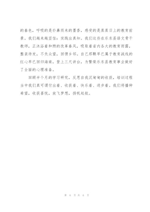 中学骨干教师培训总结.docx