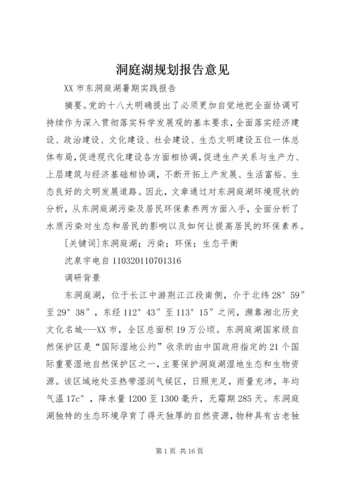 洞庭湖规划报告意见.docx