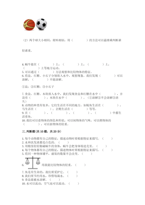 教科版一年级下册科学期末测试卷附答案（巩固）.docx