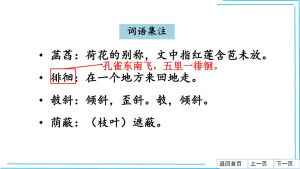 七上语文期中期末复习2_3词语运用每课晨读 课件(共47张PPT)