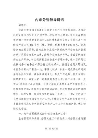 内审分管领导讲话 (2).docx