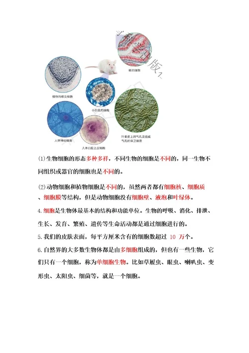 教科版六年级科学上册第一单元《微小世界》