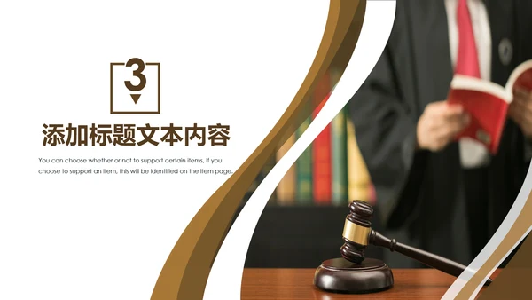 法律律师事务所法制法学工作报告PPT模板