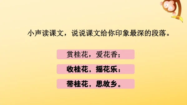 3 桂花雨   课件