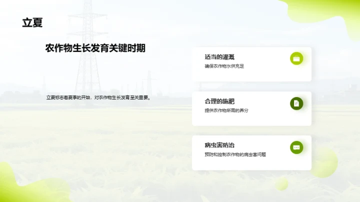 3D风教育培训节日节气PPT模板