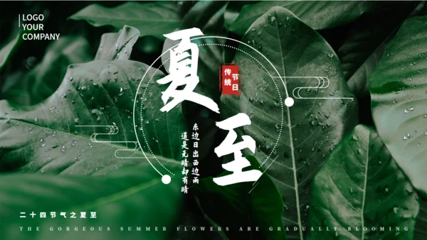 夏天的绿叶二十四节气夏至通用PPT模板