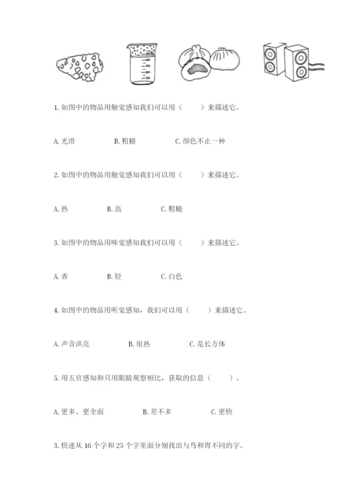 教科版二年级下册科学知识点期末测试卷附答案（综合题）.docx