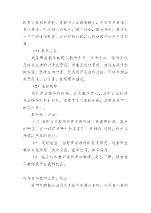 指导青年教师工作计划.docx