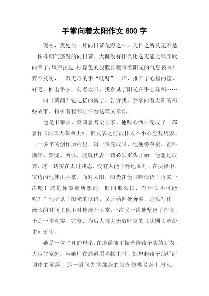 手掌向着太阳作文800字.docx