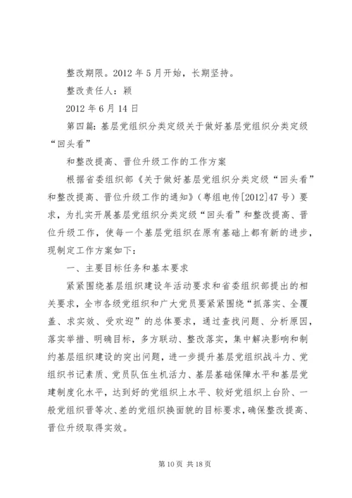 基层党组织分类定级整改措施.docx