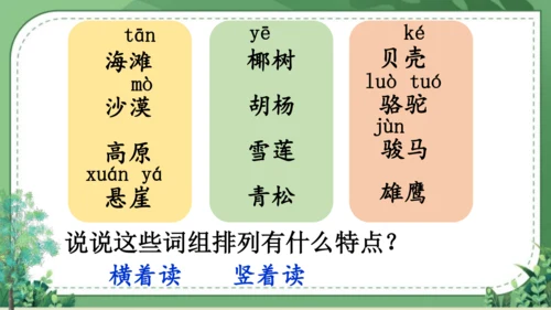 【名师课件】部编版语文二年级上册 语文园地七 课件（共2课时)