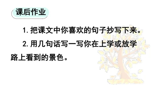 5 铺满金色巴掌的水泥道