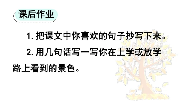 5 铺满金色巴掌的水泥道