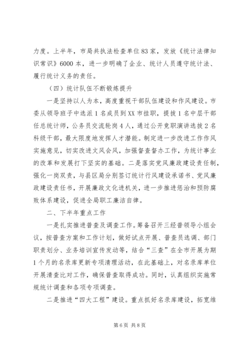 市统计局上半年工作总结及下半年工作计划 (3).docx