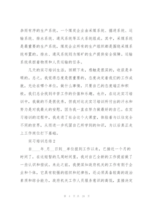 实习培训总结范文10篇.docx