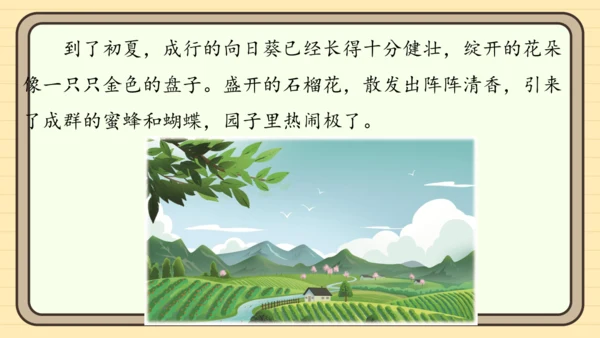 统编版语文二年级上册主题八  走进乡村 阅读与写作指导课件