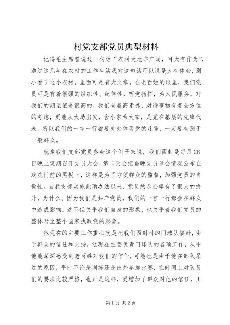 村党支部党员典型材料.docx