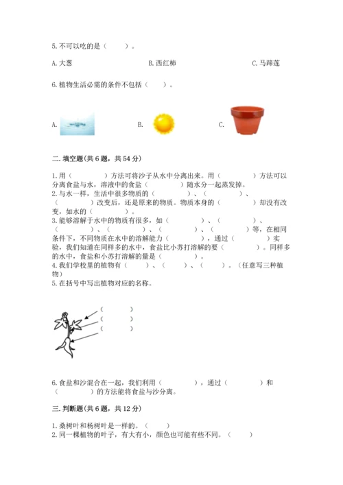 教科版科学一年级上册第一单元《植物》测试卷及参考答案（基础题）.docx