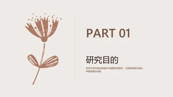 棕色简约风校园汇报植物品种研究和进展毕业答辩