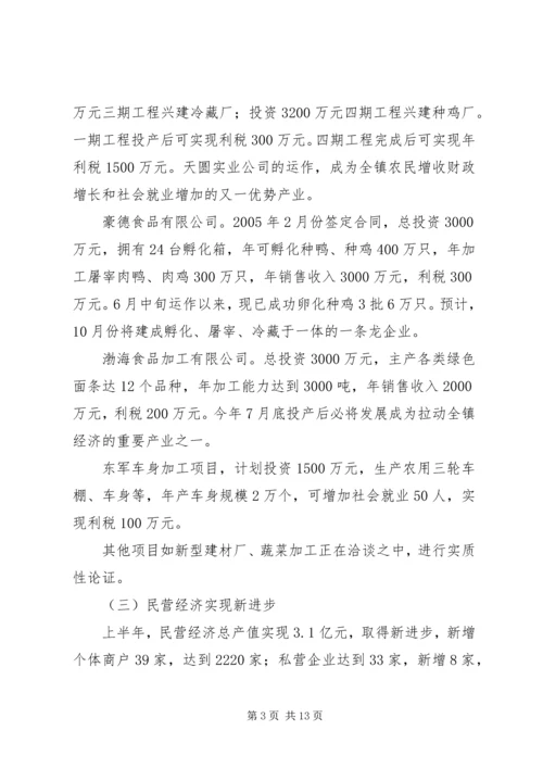 某镇关于工作总结及下半年工作计划的报告.docx