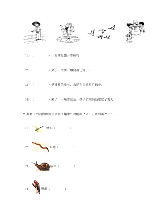 教科版科学二年级上册《期末测试卷》精品（突破训练）.docx