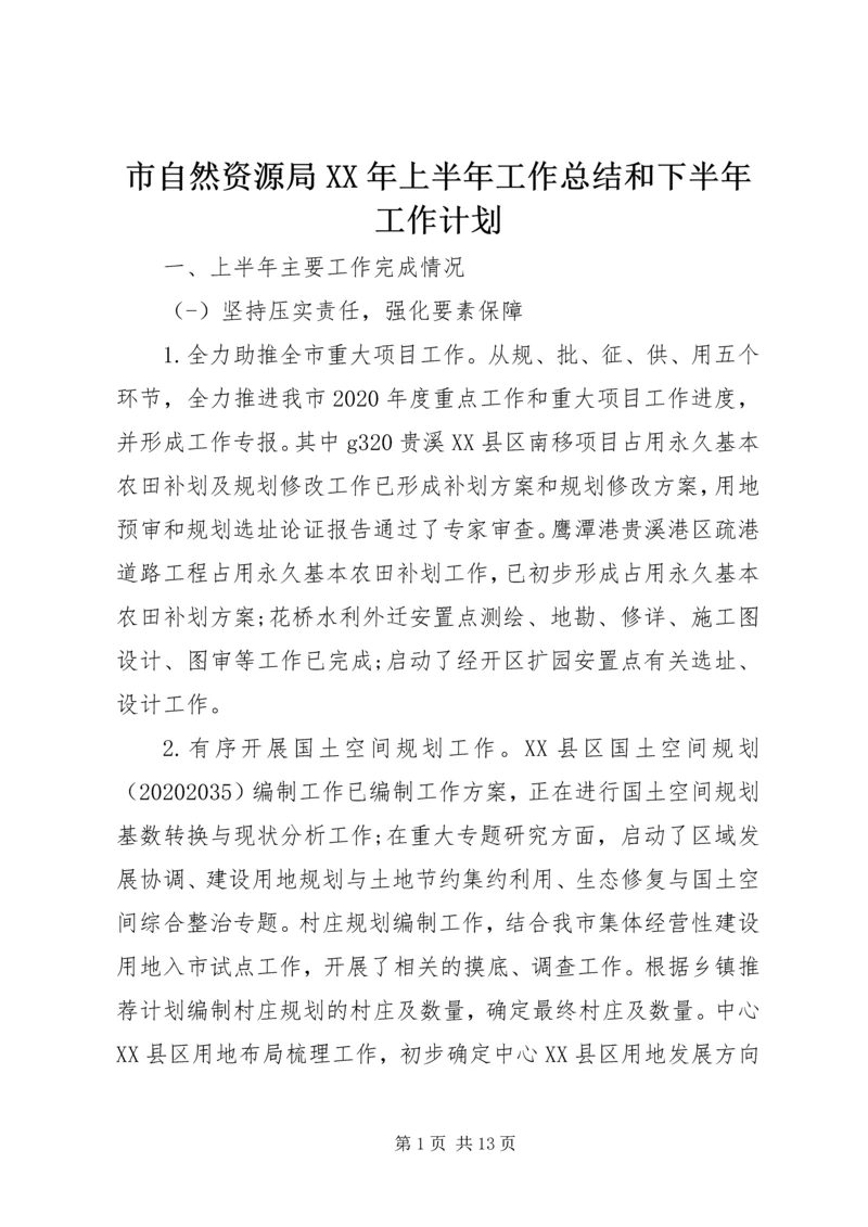 市自然资源局XX年上半年工作总结和下半年工作计划.docx