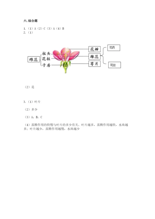 教科版科学四年级下册第一单元《植物的生长变化》测试卷必考.docx