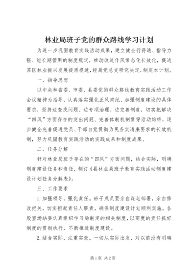 林业局班子党的群众路线学习计划.docx