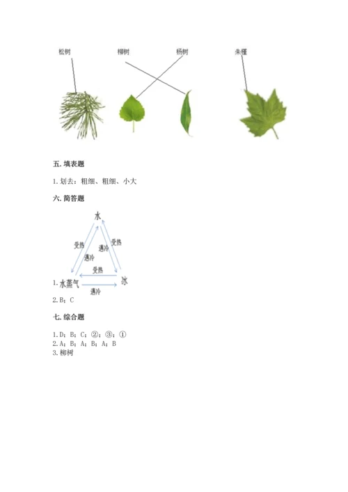教科版科学一年级上册第一单元《植物》测试卷精品（考试直接用）.docx