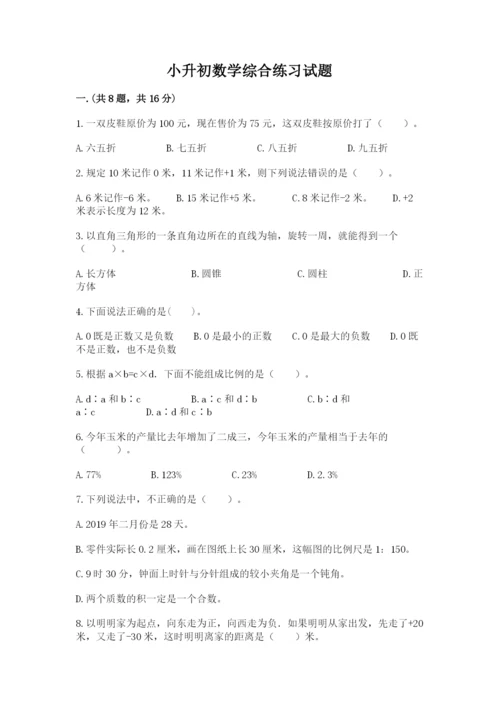 小升初数学综合练习试题精选.docx